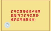 竹子灵芝种植技术视频教程(学习竹子灵芝种植的实用视频指南)