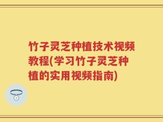 竹子灵芝种植技术视频教程(学习竹子灵芝种植的实用视频指南)