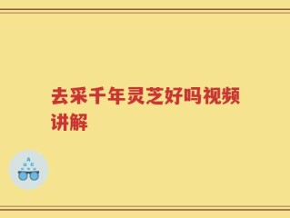 去采千年灵芝好吗视频讲解