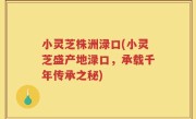 小灵芝株洲渌口(小灵芝盛产地渌口，承载千年传承之秘)