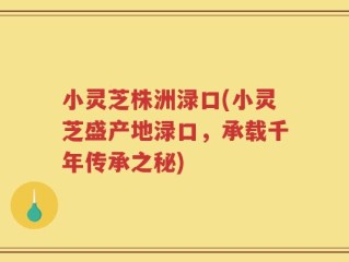 小灵芝株洲渌口(小灵芝盛产地渌口，承载千年传承之秘)