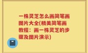 一株灵芝怎么画简笔画图片大全(精美简笔画教程：画一株灵芝的步骤及图片演示)