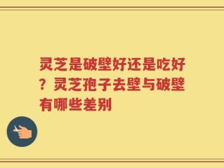 灵芝是破壁好还是吃好？灵芝孢子去壁与破壁有哪些差别