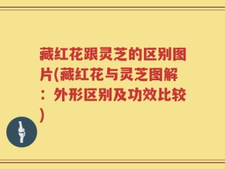 藏红花跟灵芝的区别图片(藏红花与灵芝图解：外形区别及功效比较)
