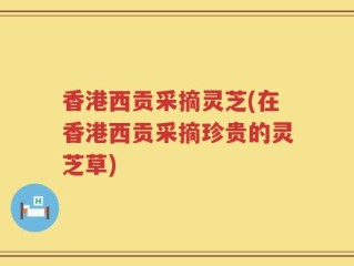 香港西贡采摘灵芝(在香港西贡采摘珍贵的灵芝草)