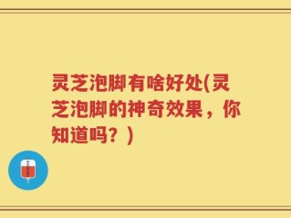 灵芝泡脚有啥好处(灵芝泡脚的神奇效果，你知道吗？)