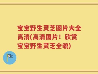 宝宝野生灵芝图片大全高清(高清图片！欣赏宝宝野生灵芝全貌)