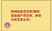 聊城冠县灵芝草(聊城冠县盛产灵芝草，被誉为灵芝草之乡)
