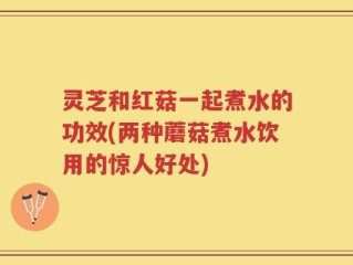 灵芝和红菇一起煮水的功效(两种蘑菇煮水饮用的惊人好处)