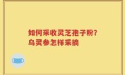 如何采收灵芝孢子粉？乌灵参怎样采摘