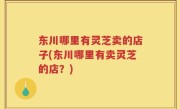 东川哪里有灵芝卖的店子(东川哪里有卖灵芝的店？)