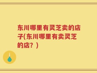 东川哪里有灵芝卖的店子(东川哪里有卖灵芝的店？)