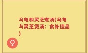 乌龟和灵芝煮汤(乌龟与灵芝煲汤：食补佳品)