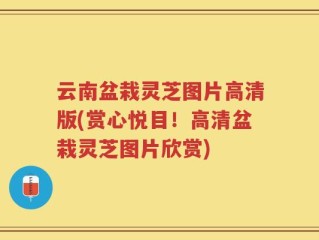 云南盆栽灵芝图片高清版(赏心悦目！高清盆栽灵芝图片欣赏)