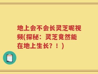 地上会不会长灵芝呢视频(探秘：灵芝竟然能在地上生长？！)