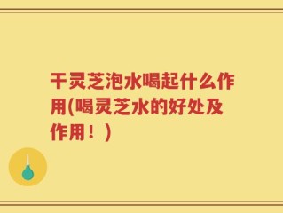 干灵芝泡水喝起什么作用(喝灵芝水的好处及作用！)