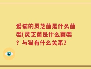爱猫的灵芝菌是什么菌类(灵芝菌是什么菌类？与猫有什么关系？