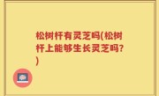 松树杆有灵芝吗(松树杆上能够生长灵芝吗？)