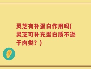 灵芝有补蛋白作用吗(灵芝可补充蛋白质不逊于肉类？)