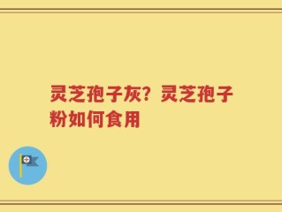 灵芝孢子灰？灵芝孢子粉如何食用
