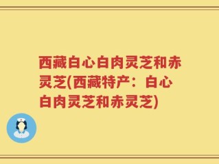 西藏白心白肉灵芝和赤灵芝(西藏特产：白心白肉灵芝和赤灵芝)