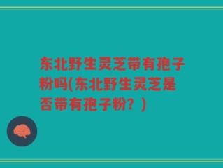 东北野生灵芝带有孢子粉吗(东北野生灵芝是否带有孢子粉？)
