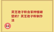 灵芝孢子粉自家种植破壁的？灵芝孢子粉制作法