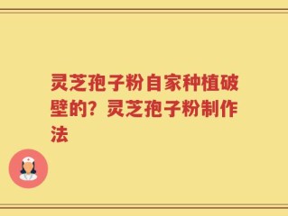 灵芝孢子粉自家种植破壁的？灵芝孢子粉制作法