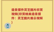 造景摆件灵芝图片欣赏视频(欣赏精美造景摆件：灵芝图片展示视频)