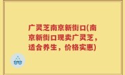 广灵芝南京新街口(南京新街口现卖广灵芝，适合养生，价格实惠)