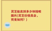 灵芝能卖到多少块钱呢图片(灵芝价格高企，究竟如何？)