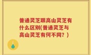 普通灵芝跟高山灵芝有什么区别(普通灵芝与高山灵芝有何不同？)