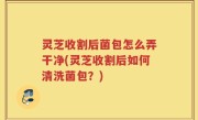 灵芝收割后菌包怎么弄干净(灵芝收割后如何清洗菌包？)