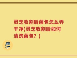 灵芝收割后菌包怎么弄干净(灵芝收割后如何清洗菌包？)