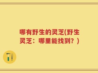 哪有野生的灵芝(野生灵芝：哪里能找到？)