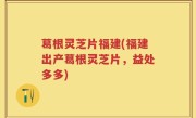 葛根灵芝片福建(福建出产葛根灵芝片，益处多多)