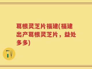 葛根灵芝片福建(福建出产葛根灵芝片，益处多多)