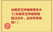 白鹤灵芝种植规模多大了(白鹤灵芝种植规模超过往年，达到何等级别？)