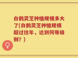 白鹤灵芝种植规模多大了(白鹤灵芝种植规模超过往年，达到何等级别？)