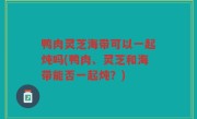 鸭肉灵芝海带可以一起炖吗(鸭肉、灵芝和海带能否一起炖？)