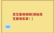 灵芝基地视频(探秘灵芝基地实景！)