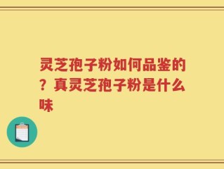 灵芝孢子粉如何品鉴的？真灵芝孢子粉是什么味