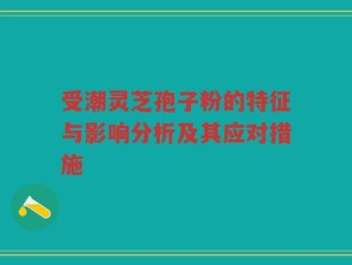 受潮灵芝孢子粉的特征与影响分析及其应对措施