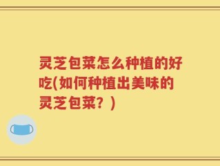 灵芝包菜怎么种植的好吃(如何种植出美味的灵芝包菜？)