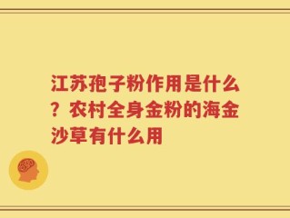 江苏孢子粉作用是什么？农村全身金粉的海金沙草有什么用