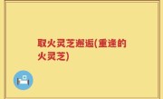 取火灵芝邂逅(重逢的火灵芝)
