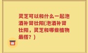 灵芝可以和什么一起泡酒补肾壮阳(泡酒补肾壮阳，灵芝和哪些植物最搭？)