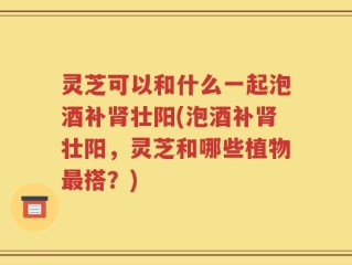 灵芝可以和什么一起泡酒补肾壮阳(泡酒补肾壮阳，灵芝和哪些植物最搭？)