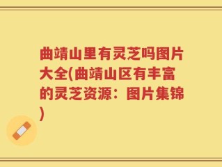 曲靖山里有灵芝吗图片大全(曲靖山区有丰富的灵芝资源：图片集锦)