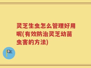 灵芝生虫怎么管理好用呢(有效防治灵芝幼苗虫害的方法)